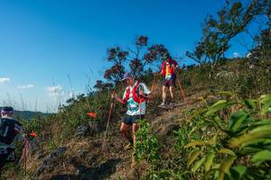 BIB: 
                            <button type="button" onclick="openModal(28098979)" class="btn btn-primary btn-sm float-right btn-popup" data-toggle="modal" data-target=".modal-high-quality">
                        <i class="fas fa-shopping-cart"></i> Add to Cart
                    </button>
                                            <button type="button" onclick="isThisMe(28098979, true)" class="btn btn-success btn-sm float-right btn-popup btn-isme hidden" data-toggle="tooltip" data-placement="bottom" title="นี่คือรูปของคุณใช่ไหม คลิกที่นี่เพื่อเอาเข้าอัลบั้ม">
                        <i class="fas fa-plus"></i> Add to album
                    </button>
                    <button type="button" onclick="isThisMe(28098979, false)" class="btn btn-warning btn-sm float-right btn-popup btn-isnotme hidden">
                        <i class="fas fa-ban"></i> Remove from album
                    </button>