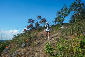 BIB: 
                            <button type="button" onclick="openModal(28096719)" class="btn btn-primary btn-sm float-right btn-popup" data-toggle="modal" data-target=".modal-high-quality">
                        <i class="fas fa-shopping-cart"></i> Add to Cart
                    </button>
                                            <button type="button" onclick="isThisMe(28096719, true)" class="btn btn-success btn-sm float-right btn-popup btn-isme hidden" data-toggle="tooltip" data-placement="bottom" title="นี่คือรูปของคุณใช่ไหม คลิกที่นี่เพื่อเอาเข้าอัลบั้ม">
                        <i class="fas fa-plus"></i> Add to album
                    </button>
                    <button type="button" onclick="isThisMe(28096719, false)" class="btn btn-warning btn-sm float-right btn-popup btn-isnotme hidden">
                        <i class="fas fa-ban"></i> Remove from album
                    </button>