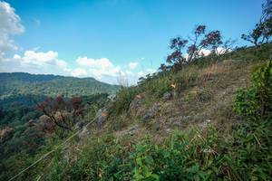 BIB: 
                            <button type="button" onclick="openModal(28095857)" class="btn btn-primary btn-sm float-right btn-popup" data-toggle="modal" data-target=".modal-high-quality">
                        <i class="fas fa-shopping-cart"></i> Add to Cart
                    </button>
                                            <button type="button" onclick="isThisMe(28095857, true)" class="btn btn-success btn-sm float-right btn-popup btn-isme hidden" data-toggle="tooltip" data-placement="bottom" title="นี่คือรูปของคุณใช่ไหม คลิกที่นี่เพื่อเอาเข้าอัลบั้ม">
                        <i class="fas fa-plus"></i> Add to album
                    </button>
                    <button type="button" onclick="isThisMe(28095857, false)" class="btn btn-warning btn-sm float-right btn-popup btn-isnotme hidden">
                        <i class="fas fa-ban"></i> Remove from album
                    </button>