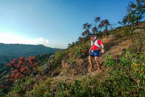 BIB: 
                            <button type="button" onclick="openModal(28099449)" class="btn btn-primary btn-sm float-right btn-popup" data-toggle="modal" data-target=".modal-high-quality">
                        <i class="fas fa-shopping-cart"></i> Add to Cart
                    </button>
                                            <button type="button" onclick="isThisMe(28099449, true)" class="btn btn-success btn-sm float-right btn-popup btn-isme hidden" data-toggle="tooltip" data-placement="bottom" title="นี่คือรูปของคุณใช่ไหม คลิกที่นี่เพื่อเอาเข้าอัลบั้ม">
                        <i class="fas fa-plus"></i> Add to album
                    </button>
                    <button type="button" onclick="isThisMe(28099449, false)" class="btn btn-warning btn-sm float-right btn-popup btn-isnotme hidden">
                        <i class="fas fa-ban"></i> Remove from album
                    </button>