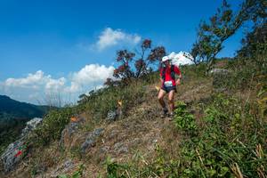 BIB: 
                            <button type="button" onclick="openModal(28096125)" class="btn btn-primary btn-sm float-right btn-popup" data-toggle="modal" data-target=".modal-high-quality">
                        <i class="fas fa-shopping-cart"></i> Add to Cart
                    </button>
                                            <button type="button" onclick="isThisMe(28096125, true)" class="btn btn-success btn-sm float-right btn-popup btn-isme hidden" data-toggle="tooltip" data-placement="bottom" title="นี่คือรูปของคุณใช่ไหม คลิกที่นี่เพื่อเอาเข้าอัลบั้ม">
                        <i class="fas fa-plus"></i> Add to album
                    </button>
                    <button type="button" onclick="isThisMe(28096125, false)" class="btn btn-warning btn-sm float-right btn-popup btn-isnotme hidden">
                        <i class="fas fa-ban"></i> Remove from album
                    </button>