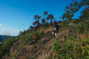 BIB: 
                            <button type="button" onclick="openModal(28098544)" class="btn btn-primary btn-sm float-right btn-popup" data-toggle="modal" data-target=".modal-high-quality">
                        <i class="fas fa-shopping-cart"></i> Add to Cart
                    </button>
                                            <button type="button" onclick="isThisMe(28098544, true)" class="btn btn-success btn-sm float-right btn-popup btn-isme hidden" data-toggle="tooltip" data-placement="bottom" title="นี่คือรูปของคุณใช่ไหม คลิกที่นี่เพื่อเอาเข้าอัลบั้ม">
                        <i class="fas fa-plus"></i> Add to album
                    </button>
                    <button type="button" onclick="isThisMe(28098544, false)" class="btn btn-warning btn-sm float-right btn-popup btn-isnotme hidden">
                        <i class="fas fa-ban"></i> Remove from album
                    </button>