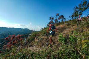 BIB: 
                            <button type="button" onclick="openModal(28098938)" class="btn btn-primary btn-sm float-right btn-popup" data-toggle="modal" data-target=".modal-high-quality">
                        <i class="fas fa-shopping-cart"></i> Add to Cart
                    </button>
                                            <button type="button" onclick="isThisMe(28098938, true)" class="btn btn-success btn-sm float-right btn-popup btn-isme hidden" data-toggle="tooltip" data-placement="bottom" title="นี่คือรูปของคุณใช่ไหม คลิกที่นี่เพื่อเอาเข้าอัลบั้ม">
                        <i class="fas fa-plus"></i> Add to album
                    </button>
                    <button type="button" onclick="isThisMe(28098938, false)" class="btn btn-warning btn-sm float-right btn-popup btn-isnotme hidden">
                        <i class="fas fa-ban"></i> Remove from album
                    </button>