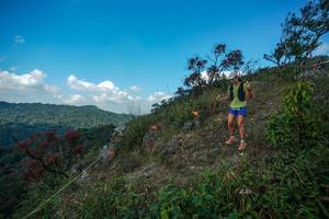 BIB: 
                            <button type="button" onclick="openModal(28095858)" class="btn btn-primary btn-sm float-right btn-popup" data-toggle="modal" data-target=".modal-high-quality">
                        <i class="fas fa-shopping-cart"></i> Add to Cart
                    </button>
                                            <button type="button" onclick="isThisMe(28095858, true)" class="btn btn-success btn-sm float-right btn-popup btn-isme hidden" data-toggle="tooltip" data-placement="bottom" title="นี่คือรูปของคุณใช่ไหม คลิกที่นี่เพื่อเอาเข้าอัลบั้ม">
                        <i class="fas fa-plus"></i> Add to album
                    </button>
                    <button type="button" onclick="isThisMe(28095858, false)" class="btn btn-warning btn-sm float-right btn-popup btn-isnotme hidden">
                        <i class="fas fa-ban"></i> Remove from album
                    </button>