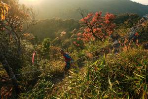 BIB: 
                            <button type="button" onclick="openModal(28099711)" class="btn btn-primary btn-sm float-right btn-popup" data-toggle="modal" data-target=".modal-high-quality">
                        <i class="fas fa-shopping-cart"></i> Add to Cart
                    </button>
                                            <button type="button" onclick="isThisMe(28099711, true)" class="btn btn-success btn-sm float-right btn-popup btn-isme hidden" data-toggle="tooltip" data-placement="bottom" title="นี่คือรูปของคุณใช่ไหม คลิกที่นี่เพื่อเอาเข้าอัลบั้ม">
                        <i class="fas fa-plus"></i> Add to album
                    </button>
                    <button type="button" onclick="isThisMe(28099711, false)" class="btn btn-warning btn-sm float-right btn-popup btn-isnotme hidden">
                        <i class="fas fa-ban"></i> Remove from album
                    </button>