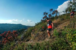 BIB: 
                            <button type="button" onclick="openModal(28099159)" class="btn btn-primary btn-sm float-right btn-popup" data-toggle="modal" data-target=".modal-high-quality">
                        <i class="fas fa-shopping-cart"></i> Add to Cart
                    </button>
                                            <button type="button" onclick="isThisMe(28099159, true)" class="btn btn-success btn-sm float-right btn-popup btn-isme hidden" data-toggle="tooltip" data-placement="bottom" title="นี่คือรูปของคุณใช่ไหม คลิกที่นี่เพื่อเอาเข้าอัลบั้ม">
                        <i class="fas fa-plus"></i> Add to album
                    </button>
                    <button type="button" onclick="isThisMe(28099159, false)" class="btn btn-warning btn-sm float-right btn-popup btn-isnotme hidden">
                        <i class="fas fa-ban"></i> Remove from album
                    </button>