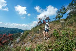 BIB: 
                            <button type="button" onclick="openModal(28096503)" class="btn btn-primary btn-sm float-right btn-popup" data-toggle="modal" data-target=".modal-high-quality">
                        <i class="fas fa-shopping-cart"></i> Add to Cart
                    </button>
                                            <button type="button" onclick="isThisMe(28096503, true)" class="btn btn-success btn-sm float-right btn-popup btn-isme hidden" data-toggle="tooltip" data-placement="bottom" title="นี่คือรูปของคุณใช่ไหม คลิกที่นี่เพื่อเอาเข้าอัลบั้ม">
                        <i class="fas fa-plus"></i> Add to album
                    </button>
                    <button type="button" onclick="isThisMe(28096503, false)" class="btn btn-warning btn-sm float-right btn-popup btn-isnotme hidden">
                        <i class="fas fa-ban"></i> Remove from album
                    </button>