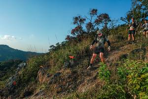 BIB: 
                            <button type="button" onclick="openModal(28099452)" class="btn btn-primary btn-sm float-right btn-popup" data-toggle="modal" data-target=".modal-high-quality">
                        <i class="fas fa-shopping-cart"></i> Add to Cart
                    </button>
                                            <button type="button" onclick="isThisMe(28099452, true)" class="btn btn-success btn-sm float-right btn-popup btn-isme hidden" data-toggle="tooltip" data-placement="bottom" title="นี่คือรูปของคุณใช่ไหม คลิกที่นี่เพื่อเอาเข้าอัลบั้ม">
                        <i class="fas fa-plus"></i> Add to album
                    </button>
                    <button type="button" onclick="isThisMe(28099452, false)" class="btn btn-warning btn-sm float-right btn-popup btn-isnotme hidden">
                        <i class="fas fa-ban"></i> Remove from album
                    </button>