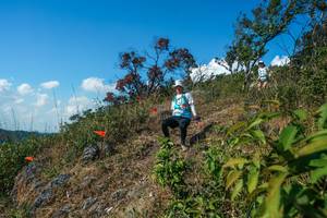 BIB: 
                            <button type="button" onclick="openModal(28097261)" class="btn btn-primary btn-sm float-right btn-popup" data-toggle="modal" data-target=".modal-high-quality">
                        <i class="fas fa-shopping-cart"></i> Add to Cart
                    </button>
                                            <button type="button" onclick="isThisMe(28097261, true)" class="btn btn-success btn-sm float-right btn-popup btn-isme hidden" data-toggle="tooltip" data-placement="bottom" title="นี่คือรูปของคุณใช่ไหม คลิกที่นี่เพื่อเอาเข้าอัลบั้ม">
                        <i class="fas fa-plus"></i> Add to album
                    </button>
                    <button type="button" onclick="isThisMe(28097261, false)" class="btn btn-warning btn-sm float-right btn-popup btn-isnotme hidden">
                        <i class="fas fa-ban"></i> Remove from album
                    </button>