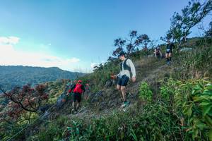 BIB: 
                            <button type="button" onclick="openModal(28098369)" class="btn btn-primary btn-sm float-right btn-popup" data-toggle="modal" data-target=".modal-high-quality">
                        <i class="fas fa-shopping-cart"></i> Add to Cart
                    </button>
                                            <button type="button" onclick="isThisMe(28098369, true)" class="btn btn-success btn-sm float-right btn-popup btn-isme hidden" data-toggle="tooltip" data-placement="bottom" title="นี่คือรูปของคุณใช่ไหม คลิกที่นี่เพื่อเอาเข้าอัลบั้ม">
                        <i class="fas fa-plus"></i> Add to album
                    </button>
                    <button type="button" onclick="isThisMe(28098369, false)" class="btn btn-warning btn-sm float-right btn-popup btn-isnotme hidden">
                        <i class="fas fa-ban"></i> Remove from album
                    </button>