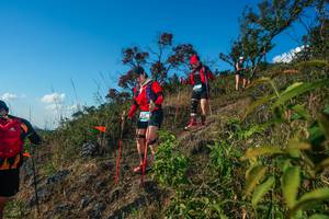 BIB: 
                            <button type="button" onclick="openModal(28099036)" class="btn btn-primary btn-sm float-right btn-popup" data-toggle="modal" data-target=".modal-high-quality">
                        <i class="fas fa-shopping-cart"></i> Add to Cart
                    </button>
                                            <button type="button" onclick="isThisMe(28099036, true)" class="btn btn-success btn-sm float-right btn-popup btn-isme hidden" data-toggle="tooltip" data-placement="bottom" title="นี่คือรูปของคุณใช่ไหม คลิกที่นี่เพื่อเอาเข้าอัลบั้ม">
                        <i class="fas fa-plus"></i> Add to album
                    </button>
                    <button type="button" onclick="isThisMe(28099036, false)" class="btn btn-warning btn-sm float-right btn-popup btn-isnotme hidden">
                        <i class="fas fa-ban"></i> Remove from album
                    </button>