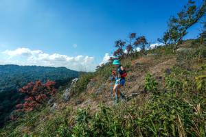 BIB: 
                            <button type="button" onclick="openModal(28097109)" class="btn btn-primary btn-sm float-right btn-popup" data-toggle="modal" data-target=".modal-high-quality">
                        <i class="fas fa-shopping-cart"></i> Add to Cart
                    </button>
                                            <button type="button" onclick="isThisMe(28097109, true)" class="btn btn-success btn-sm float-right btn-popup btn-isme hidden" data-toggle="tooltip" data-placement="bottom" title="นี่คือรูปของคุณใช่ไหม คลิกที่นี่เพื่อเอาเข้าอัลบั้ม">
                        <i class="fas fa-plus"></i> Add to album
                    </button>
                    <button type="button" onclick="isThisMe(28097109, false)" class="btn btn-warning btn-sm float-right btn-popup btn-isnotme hidden">
                        <i class="fas fa-ban"></i> Remove from album
                    </button>