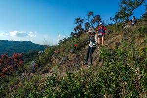 BIB: 
                            <button type="button" onclick="openModal(28098787)" class="btn btn-primary btn-sm float-right btn-popup" data-toggle="modal" data-target=".modal-high-quality">
                        <i class="fas fa-shopping-cart"></i> Add to Cart
                    </button>
                                            <button type="button" onclick="isThisMe(28098787, true)" class="btn btn-success btn-sm float-right btn-popup btn-isme hidden" data-toggle="tooltip" data-placement="bottom" title="นี่คือรูปของคุณใช่ไหม คลิกที่นี่เพื่อเอาเข้าอัลบั้ม">
                        <i class="fas fa-plus"></i> Add to album
                    </button>
                    <button type="button" onclick="isThisMe(28098787, false)" class="btn btn-warning btn-sm float-right btn-popup btn-isnotme hidden">
                        <i class="fas fa-ban"></i> Remove from album
                    </button>