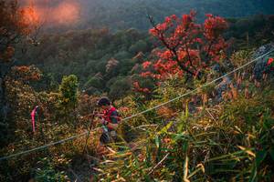 BIB: 
                            <button type="button" onclick="openModal(28099758)" class="btn btn-primary btn-sm float-right btn-popup" data-toggle="modal" data-target=".modal-high-quality">
                        <i class="fas fa-shopping-cart"></i> Add to Cart
                    </button>
                                            <button type="button" onclick="isThisMe(28099758, true)" class="btn btn-success btn-sm float-right btn-popup btn-isme hidden" data-toggle="tooltip" data-placement="bottom" title="นี่คือรูปของคุณใช่ไหม คลิกที่นี่เพื่อเอาเข้าอัลบั้ม">
                        <i class="fas fa-plus"></i> Add to album
                    </button>
                    <button type="button" onclick="isThisMe(28099758, false)" class="btn btn-warning btn-sm float-right btn-popup btn-isnotme hidden">
                        <i class="fas fa-ban"></i> Remove from album
                    </button>