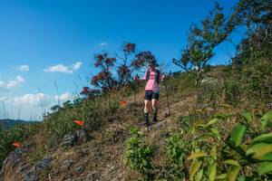 BIB: 
                            <button type="button" onclick="openModal(28097626)" class="btn btn-primary btn-sm float-right btn-popup" data-toggle="modal" data-target=".modal-high-quality">
                        <i class="fas fa-shopping-cart"></i> Add to Cart
                    </button>
                                            <button type="button" onclick="isThisMe(28097626, true)" class="btn btn-success btn-sm float-right btn-popup btn-isme hidden" data-toggle="tooltip" data-placement="bottom" title="นี่คือรูปของคุณใช่ไหม คลิกที่นี่เพื่อเอาเข้าอัลบั้ม">
                        <i class="fas fa-plus"></i> Add to album
                    </button>
                    <button type="button" onclick="isThisMe(28097626, false)" class="btn btn-warning btn-sm float-right btn-popup btn-isnotme hidden">
                        <i class="fas fa-ban"></i> Remove from album
                    </button>