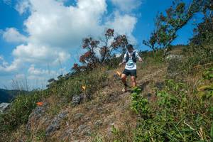 BIB: 
                            <button type="button" onclick="openModal(28096260)" class="btn btn-primary btn-sm float-right btn-popup" data-toggle="modal" data-target=".modal-high-quality">
                        <i class="fas fa-shopping-cart"></i> Add to Cart
                    </button>
                                            <button type="button" onclick="isThisMe(28096260, true)" class="btn btn-success btn-sm float-right btn-popup btn-isme hidden" data-toggle="tooltip" data-placement="bottom" title="นี่คือรูปของคุณใช่ไหม คลิกที่นี่เพื่อเอาเข้าอัลบั้ม">
                        <i class="fas fa-plus"></i> Add to album
                    </button>
                    <button type="button" onclick="isThisMe(28096260, false)" class="btn btn-warning btn-sm float-right btn-popup btn-isnotme hidden">
                        <i class="fas fa-ban"></i> Remove from album
                    </button>