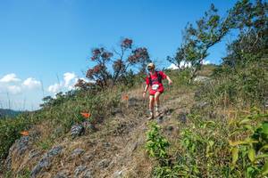 BIB: 
                            <button type="button" onclick="openModal(28096945)" class="btn btn-primary btn-sm float-right btn-popup" data-toggle="modal" data-target=".modal-high-quality">
                        <i class="fas fa-shopping-cart"></i> Add to Cart
                    </button>
                                            <button type="button" onclick="isThisMe(28096945, true)" class="btn btn-success btn-sm float-right btn-popup btn-isme hidden" data-toggle="tooltip" data-placement="bottom" title="นี่คือรูปของคุณใช่ไหม คลิกที่นี่เพื่อเอาเข้าอัลบั้ม">
                        <i class="fas fa-plus"></i> Add to album
                    </button>
                    <button type="button" onclick="isThisMe(28096945, false)" class="btn btn-warning btn-sm float-right btn-popup btn-isnotme hidden">
                        <i class="fas fa-ban"></i> Remove from album
                    </button>