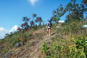 BIB: 
                            <button type="button" onclick="openModal(28096897)" class="btn btn-primary btn-sm float-right btn-popup" data-toggle="modal" data-target=".modal-high-quality">
                        <i class="fas fa-shopping-cart"></i> Add to Cart
                    </button>
                                            <button type="button" onclick="isThisMe(28096897, true)" class="btn btn-success btn-sm float-right btn-popup btn-isme hidden" data-toggle="tooltip" data-placement="bottom" title="นี่คือรูปของคุณใช่ไหม คลิกที่นี่เพื่อเอาเข้าอัลบั้ม">
                        <i class="fas fa-plus"></i> Add to album
                    </button>
                    <button type="button" onclick="isThisMe(28096897, false)" class="btn btn-warning btn-sm float-right btn-popup btn-isnotme hidden">
                        <i class="fas fa-ban"></i> Remove from album
                    </button>