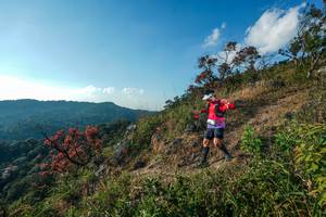 BIB: 
                            <button type="button" onclick="openModal(28099254)" class="btn btn-primary btn-sm float-right btn-popup" data-toggle="modal" data-target=".modal-high-quality">
                        <i class="fas fa-shopping-cart"></i> Add to Cart
                    </button>
                                            <button type="button" onclick="isThisMe(28099254, true)" class="btn btn-success btn-sm float-right btn-popup btn-isme hidden" data-toggle="tooltip" data-placement="bottom" title="นี่คือรูปของคุณใช่ไหม คลิกที่นี่เพื่อเอาเข้าอัลบั้ม">
                        <i class="fas fa-plus"></i> Add to album
                    </button>
                    <button type="button" onclick="isThisMe(28099254, false)" class="btn btn-warning btn-sm float-right btn-popup btn-isnotme hidden">
                        <i class="fas fa-ban"></i> Remove from album
                    </button>