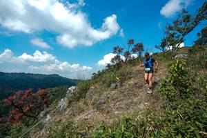 BIB: 
                            <button type="button" onclick="openModal(28095961)" class="btn btn-primary btn-sm float-right btn-popup" data-toggle="modal" data-target=".modal-high-quality">
                        <i class="fas fa-shopping-cart"></i> Add to Cart
                    </button>
                                            <button type="button" onclick="isThisMe(28095961, true)" class="btn btn-success btn-sm float-right btn-popup btn-isme hidden" data-toggle="tooltip" data-placement="bottom" title="นี่คือรูปของคุณใช่ไหม คลิกที่นี่เพื่อเอาเข้าอัลบั้ม">
                        <i class="fas fa-plus"></i> Add to album
                    </button>
                    <button type="button" onclick="isThisMe(28095961, false)" class="btn btn-warning btn-sm float-right btn-popup btn-isnotme hidden">
                        <i class="fas fa-ban"></i> Remove from album
                    </button>