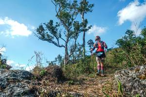 BIB: 
                            <button type="button" onclick="openModal(28097957)" class="btn btn-primary btn-sm float-right btn-popup" data-toggle="modal" data-target=".modal-high-quality">
                        <i class="fas fa-shopping-cart"></i> Add to Cart
                    </button>
                                            <button type="button" onclick="isThisMe(28097957, true)" class="btn btn-success btn-sm float-right btn-popup btn-isme hidden" data-toggle="tooltip" data-placement="bottom" title="นี่คือรูปของคุณใช่ไหม คลิกที่นี่เพื่อเอาเข้าอัลบั้ม">
                        <i class="fas fa-plus"></i> Add to album
                    </button>
                    <button type="button" onclick="isThisMe(28097957, false)" class="btn btn-warning btn-sm float-right btn-popup btn-isnotme hidden">
                        <i class="fas fa-ban"></i> Remove from album
                    </button>