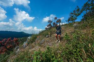 BIB: 
                            <button type="button" onclick="openModal(28096093)" class="btn btn-primary btn-sm float-right btn-popup" data-toggle="modal" data-target=".modal-high-quality">
                        <i class="fas fa-shopping-cart"></i> Add to Cart
                    </button>
                                            <button type="button" onclick="isThisMe(28096093, true)" class="btn btn-success btn-sm float-right btn-popup btn-isme hidden" data-toggle="tooltip" data-placement="bottom" title="นี่คือรูปของคุณใช่ไหม คลิกที่นี่เพื่อเอาเข้าอัลบั้ม">
                        <i class="fas fa-plus"></i> Add to album
                    </button>
                    <button type="button" onclick="isThisMe(28096093, false)" class="btn btn-warning btn-sm float-right btn-popup btn-isnotme hidden">
                        <i class="fas fa-ban"></i> Remove from album
                    </button>