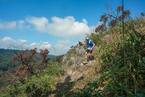 BIB: 
                            <button type="button" onclick="openModal(28095762)" class="btn btn-primary btn-sm float-right btn-popup" data-toggle="modal" data-target=".modal-high-quality">
                        <i class="fas fa-shopping-cart"></i> Add to Cart
                    </button>
                                            <button type="button" onclick="isThisMe(28095762, true)" class="btn btn-success btn-sm float-right btn-popup btn-isme hidden" data-toggle="tooltip" data-placement="bottom" title="นี่คือรูปของคุณใช่ไหม คลิกที่นี่เพื่อเอาเข้าอัลบั้ม">
                        <i class="fas fa-plus"></i> Add to album
                    </button>
                    <button type="button" onclick="isThisMe(28095762, false)" class="btn btn-warning btn-sm float-right btn-popup btn-isnotme hidden">
                        <i class="fas fa-ban"></i> Remove from album
                    </button>