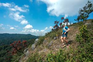 BIB: 
                            <button type="button" onclick="openModal(28095954)" class="btn btn-primary btn-sm float-right btn-popup" data-toggle="modal" data-target=".modal-high-quality">
                        <i class="fas fa-shopping-cart"></i> Add to Cart
                    </button>
                                            <button type="button" onclick="isThisMe(28095954, true)" class="btn btn-success btn-sm float-right btn-popup btn-isme hidden" data-toggle="tooltip" data-placement="bottom" title="นี่คือรูปของคุณใช่ไหม คลิกที่นี่เพื่อเอาเข้าอัลบั้ม">
                        <i class="fas fa-plus"></i> Add to album
                    </button>
                    <button type="button" onclick="isThisMe(28095954, false)" class="btn btn-warning btn-sm float-right btn-popup btn-isnotme hidden">
                        <i class="fas fa-ban"></i> Remove from album
                    </button>