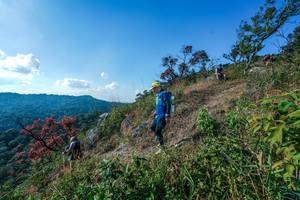 BIB: 
                            <button type="button" onclick="openModal(28098238)" class="btn btn-primary btn-sm float-right btn-popup" data-toggle="modal" data-target=".modal-high-quality">
                        <i class="fas fa-shopping-cart"></i> Add to Cart
                    </button>
                                            <button type="button" onclick="isThisMe(28098238, true)" class="btn btn-success btn-sm float-right btn-popup btn-isme hidden" data-toggle="tooltip" data-placement="bottom" title="นี่คือรูปของคุณใช่ไหม คลิกที่นี่เพื่อเอาเข้าอัลบั้ม">
                        <i class="fas fa-plus"></i> Add to album
                    </button>
                    <button type="button" onclick="isThisMe(28098238, false)" class="btn btn-warning btn-sm float-right btn-popup btn-isnotme hidden">
                        <i class="fas fa-ban"></i> Remove from album
                    </button>