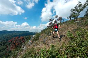 BIB: 
                            <button type="button" onclick="openModal(28096031)" class="btn btn-primary btn-sm float-right btn-popup" data-toggle="modal" data-target=".modal-high-quality">
                        <i class="fas fa-shopping-cart"></i> Add to Cart
                    </button>
                                            <button type="button" onclick="isThisMe(28096031, true)" class="btn btn-success btn-sm float-right btn-popup btn-isme hidden" data-toggle="tooltip" data-placement="bottom" title="นี่คือรูปของคุณใช่ไหม คลิกที่นี่เพื่อเอาเข้าอัลบั้ม">
                        <i class="fas fa-plus"></i> Add to album
                    </button>
                    <button type="button" onclick="isThisMe(28096031, false)" class="btn btn-warning btn-sm float-right btn-popup btn-isnotme hidden">
                        <i class="fas fa-ban"></i> Remove from album
                    </button>