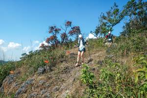 BIB: 
                            <button type="button" onclick="openModal(28096951)" class="btn btn-primary btn-sm float-right btn-popup" data-toggle="modal" data-target=".modal-high-quality">
                        <i class="fas fa-shopping-cart"></i> Add to Cart
                    </button>
                                            <button type="button" onclick="isThisMe(28096951, true)" class="btn btn-success btn-sm float-right btn-popup btn-isme hidden" data-toggle="tooltip" data-placement="bottom" title="นี่คือรูปของคุณใช่ไหม คลิกที่นี่เพื่อเอาเข้าอัลบั้ม">
                        <i class="fas fa-plus"></i> Add to album
                    </button>
                    <button type="button" onclick="isThisMe(28096951, false)" class="btn btn-warning btn-sm float-right btn-popup btn-isnotme hidden">
                        <i class="fas fa-ban"></i> Remove from album
                    </button>