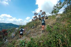 BIB: 
                            <button type="button" onclick="openModal(28096204)" class="btn btn-primary btn-sm float-right btn-popup" data-toggle="modal" data-target=".modal-high-quality">
                        <i class="fas fa-shopping-cart"></i> Add to Cart
                    </button>
                                            <button type="button" onclick="isThisMe(28096204, true)" class="btn btn-success btn-sm float-right btn-popup btn-isme hidden" data-toggle="tooltip" data-placement="bottom" title="นี่คือรูปของคุณใช่ไหม คลิกที่นี่เพื่อเอาเข้าอัลบั้ม">
                        <i class="fas fa-plus"></i> Add to album
                    </button>
                    <button type="button" onclick="isThisMe(28096204, false)" class="btn btn-warning btn-sm float-right btn-popup btn-isnotme hidden">
                        <i class="fas fa-ban"></i> Remove from album
                    </button>