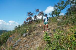 BIB: 
                            <button type="button" onclick="openModal(28096356)" class="btn btn-primary btn-sm float-right btn-popup" data-toggle="modal" data-target=".modal-high-quality">
                        <i class="fas fa-shopping-cart"></i> Add to Cart
                    </button>
                                            <button type="button" onclick="isThisMe(28096356, true)" class="btn btn-success btn-sm float-right btn-popup btn-isme hidden" data-toggle="tooltip" data-placement="bottom" title="นี่คือรูปของคุณใช่ไหม คลิกที่นี่เพื่อเอาเข้าอัลบั้ม">
                        <i class="fas fa-plus"></i> Add to album
                    </button>
                    <button type="button" onclick="isThisMe(28096356, false)" class="btn btn-warning btn-sm float-right btn-popup btn-isnotme hidden">
                        <i class="fas fa-ban"></i> Remove from album
                    </button>