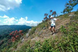 BIB: 
                            <button type="button" onclick="openModal(28096293)" class="btn btn-primary btn-sm float-right btn-popup" data-toggle="modal" data-target=".modal-high-quality">
                        <i class="fas fa-shopping-cart"></i> Add to Cart
                    </button>
                                            <button type="button" onclick="isThisMe(28096293, true)" class="btn btn-success btn-sm float-right btn-popup btn-isme hidden" data-toggle="tooltip" data-placement="bottom" title="นี่คือรูปของคุณใช่ไหม คลิกที่นี่เพื่อเอาเข้าอัลบั้ม">
                        <i class="fas fa-plus"></i> Add to album
                    </button>
                    <button type="button" onclick="isThisMe(28096293, false)" class="btn btn-warning btn-sm float-right btn-popup btn-isnotme hidden">
                        <i class="fas fa-ban"></i> Remove from album
                    </button>