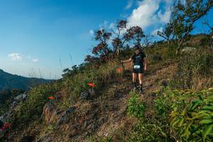 BIB: 
                            <button type="button" onclick="openModal(28099289)" class="btn btn-primary btn-sm float-right btn-popup" data-toggle="modal" data-target=".modal-high-quality">
                        <i class="fas fa-shopping-cart"></i> Add to Cart
                    </button>
                                            <button type="button" onclick="isThisMe(28099289, true)" class="btn btn-success btn-sm float-right btn-popup btn-isme hidden" data-toggle="tooltip" data-placement="bottom" title="นี่คือรูปของคุณใช่ไหม คลิกที่นี่เพื่อเอาเข้าอัลบั้ม">
                        <i class="fas fa-plus"></i> Add to album
                    </button>
                    <button type="button" onclick="isThisMe(28099289, false)" class="btn btn-warning btn-sm float-right btn-popup btn-isnotme hidden">
                        <i class="fas fa-ban"></i> Remove from album
                    </button>