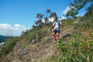 BIB: 
                            <button type="button" onclick="openModal(28096347)" class="btn btn-primary btn-sm float-right btn-popup" data-toggle="modal" data-target=".modal-high-quality">
                        <i class="fas fa-shopping-cart"></i> Add to Cart
                    </button>
                                            <button type="button" onclick="isThisMe(28096347, true)" class="btn btn-success btn-sm float-right btn-popup btn-isme hidden" data-toggle="tooltip" data-placement="bottom" title="นี่คือรูปของคุณใช่ไหม คลิกที่นี่เพื่อเอาเข้าอัลบั้ม">
                        <i class="fas fa-plus"></i> Add to album
                    </button>
                    <button type="button" onclick="isThisMe(28096347, false)" class="btn btn-warning btn-sm float-right btn-popup btn-isnotme hidden">
                        <i class="fas fa-ban"></i> Remove from album
                    </button>