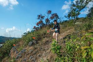 BIB: 
                            <button type="button" onclick="openModal(28097919)" class="btn btn-primary btn-sm float-right btn-popup" data-toggle="modal" data-target=".modal-high-quality">
                        <i class="fas fa-shopping-cart"></i> Add to Cart
                    </button>
                                            <button type="button" onclick="isThisMe(28097919, true)" class="btn btn-success btn-sm float-right btn-popup btn-isme hidden" data-toggle="tooltip" data-placement="bottom" title="นี่คือรูปของคุณใช่ไหม คลิกที่นี่เพื่อเอาเข้าอัลบั้ม">
                        <i class="fas fa-plus"></i> Add to album
                    </button>
                    <button type="button" onclick="isThisMe(28097919, false)" class="btn btn-warning btn-sm float-right btn-popup btn-isnotme hidden">
                        <i class="fas fa-ban"></i> Remove from album
                    </button>