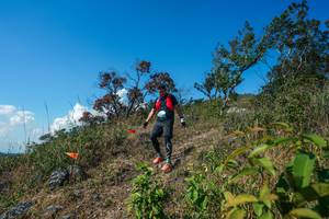 BIB: 
                            <button type="button" onclick="openModal(28097162)" class="btn btn-primary btn-sm float-right btn-popup" data-toggle="modal" data-target=".modal-high-quality">
                        <i class="fas fa-shopping-cart"></i> Add to Cart
                    </button>
                                            <button type="button" onclick="isThisMe(28097162, true)" class="btn btn-success btn-sm float-right btn-popup btn-isme hidden" data-toggle="tooltip" data-placement="bottom" title="นี่คือรูปของคุณใช่ไหม คลิกที่นี่เพื่อเอาเข้าอัลบั้ม">
                        <i class="fas fa-plus"></i> Add to album
                    </button>
                    <button type="button" onclick="isThisMe(28097162, false)" class="btn btn-warning btn-sm float-right btn-popup btn-isnotme hidden">
                        <i class="fas fa-ban"></i> Remove from album
                    </button>