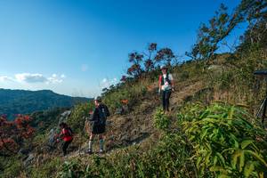 BIB: 
                            <button type="button" onclick="openModal(28098758)" class="btn btn-primary btn-sm float-right btn-popup" data-toggle="modal" data-target=".modal-high-quality">
                        <i class="fas fa-shopping-cart"></i> Add to Cart
                    </button>
                                            <button type="button" onclick="isThisMe(28098758, true)" class="btn btn-success btn-sm float-right btn-popup btn-isme hidden" data-toggle="tooltip" data-placement="bottom" title="นี่คือรูปของคุณใช่ไหม คลิกที่นี่เพื่อเอาเข้าอัลบั้ม">
                        <i class="fas fa-plus"></i> Add to album
                    </button>
                    <button type="button" onclick="isThisMe(28098758, false)" class="btn btn-warning btn-sm float-right btn-popup btn-isnotme hidden">
                        <i class="fas fa-ban"></i> Remove from album
                    </button>