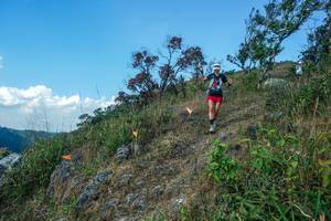 BIB: 
                            <button type="button" onclick="openModal(28096291)" class="btn btn-primary btn-sm float-right btn-popup" data-toggle="modal" data-target=".modal-high-quality">
                        <i class="fas fa-shopping-cart"></i> Add to Cart
                    </button>
                                            <button type="button" onclick="isThisMe(28096291, true)" class="btn btn-success btn-sm float-right btn-popup btn-isme hidden" data-toggle="tooltip" data-placement="bottom" title="นี่คือรูปของคุณใช่ไหม คลิกที่นี่เพื่อเอาเข้าอัลบั้ม">
                        <i class="fas fa-plus"></i> Add to album
                    </button>
                    <button type="button" onclick="isThisMe(28096291, false)" class="btn btn-warning btn-sm float-right btn-popup btn-isnotme hidden">
                        <i class="fas fa-ban"></i> Remove from album
                    </button>