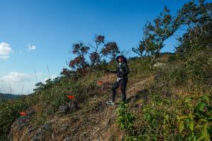 BIB: 
                            <button type="button" onclick="openModal(28097700)" class="btn btn-primary btn-sm float-right btn-popup" data-toggle="modal" data-target=".modal-high-quality">
                        <i class="fas fa-shopping-cart"></i> Add to Cart
                    </button>
                                            <button type="button" onclick="isThisMe(28097700, true)" class="btn btn-success btn-sm float-right btn-popup btn-isme hidden" data-toggle="tooltip" data-placement="bottom" title="นี่คือรูปของคุณใช่ไหม คลิกที่นี่เพื่อเอาเข้าอัลบั้ม">
                        <i class="fas fa-plus"></i> Add to album
                    </button>
                    <button type="button" onclick="isThisMe(28097700, false)" class="btn btn-warning btn-sm float-right btn-popup btn-isnotme hidden">
                        <i class="fas fa-ban"></i> Remove from album
                    </button>