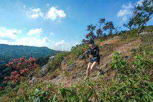 BIB: 
                            <button type="button" onclick="openModal(28097943)" class="btn btn-primary btn-sm float-right btn-popup" data-toggle="modal" data-target=".modal-high-quality">
                        <i class="fas fa-shopping-cart"></i> Add to Cart
                    </button>
                                            <button type="button" onclick="isThisMe(28097943, true)" class="btn btn-success btn-sm float-right btn-popup btn-isme hidden" data-toggle="tooltip" data-placement="bottom" title="นี่คือรูปของคุณใช่ไหม คลิกที่นี่เพื่อเอาเข้าอัลบั้ม">
                        <i class="fas fa-plus"></i> Add to album
                    </button>
                    <button type="button" onclick="isThisMe(28097943, false)" class="btn btn-warning btn-sm float-right btn-popup btn-isnotme hidden">
                        <i class="fas fa-ban"></i> Remove from album
                    </button>