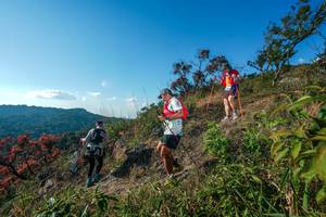 BIB: 
                            <button type="button" onclick="openModal(28098976)" class="btn btn-primary btn-sm float-right btn-popup" data-toggle="modal" data-target=".modal-high-quality">
                        <i class="fas fa-shopping-cart"></i> Add to Cart
                    </button>
                                            <button type="button" onclick="isThisMe(28098976, true)" class="btn btn-success btn-sm float-right btn-popup btn-isme hidden" data-toggle="tooltip" data-placement="bottom" title="นี่คือรูปของคุณใช่ไหม คลิกที่นี่เพื่อเอาเข้าอัลบั้ม">
                        <i class="fas fa-plus"></i> Add to album
                    </button>
                    <button type="button" onclick="isThisMe(28098976, false)" class="btn btn-warning btn-sm float-right btn-popup btn-isnotme hidden">
                        <i class="fas fa-ban"></i> Remove from album
                    </button>