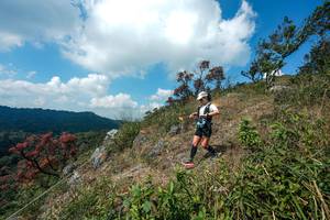 BIB: 
                            <button type="button" onclick="openModal(28096065)" class="btn btn-primary btn-sm float-right btn-popup" data-toggle="modal" data-target=".modal-high-quality">
                        <i class="fas fa-shopping-cart"></i> Add to Cart
                    </button>
                                            <button type="button" onclick="isThisMe(28096065, true)" class="btn btn-success btn-sm float-right btn-popup btn-isme hidden" data-toggle="tooltip" data-placement="bottom" title="นี่คือรูปของคุณใช่ไหม คลิกที่นี่เพื่อเอาเข้าอัลบั้ม">
                        <i class="fas fa-plus"></i> Add to album
                    </button>
                    <button type="button" onclick="isThisMe(28096065, false)" class="btn btn-warning btn-sm float-right btn-popup btn-isnotme hidden">
                        <i class="fas fa-ban"></i> Remove from album
                    </button>