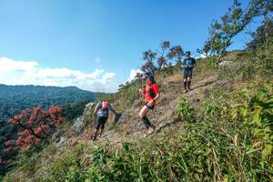 BIB: 
                            <button type="button" onclick="openModal(28097035)" class="btn btn-primary btn-sm float-right btn-popup" data-toggle="modal" data-target=".modal-high-quality">
                        <i class="fas fa-shopping-cart"></i> Add to Cart
                    </button>
                                            <button type="button" onclick="isThisMe(28097035, true)" class="btn btn-success btn-sm float-right btn-popup btn-isme hidden" data-toggle="tooltip" data-placement="bottom" title="นี่คือรูปของคุณใช่ไหม คลิกที่นี่เพื่อเอาเข้าอัลบั้ม">
                        <i class="fas fa-plus"></i> Add to album
                    </button>
                    <button type="button" onclick="isThisMe(28097035, false)" class="btn btn-warning btn-sm float-right btn-popup btn-isnotme hidden">
                        <i class="fas fa-ban"></i> Remove from album
                    </button>