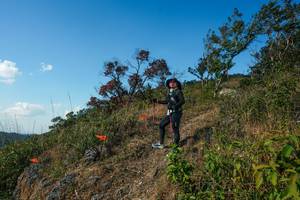 BIB: 
                            <button type="button" onclick="openModal(28097692)" class="btn btn-primary btn-sm float-right btn-popup" data-toggle="modal" data-target=".modal-high-quality">
                        <i class="fas fa-shopping-cart"></i> Add to Cart
                    </button>
                                            <button type="button" onclick="isThisMe(28097692, true)" class="btn btn-success btn-sm float-right btn-popup btn-isme hidden" data-toggle="tooltip" data-placement="bottom" title="นี่คือรูปของคุณใช่ไหม คลิกที่นี่เพื่อเอาเข้าอัลบั้ม">
                        <i class="fas fa-plus"></i> Add to album
                    </button>
                    <button type="button" onclick="isThisMe(28097692, false)" class="btn btn-warning btn-sm float-right btn-popup btn-isnotme hidden">
                        <i class="fas fa-ban"></i> Remove from album
                    </button>