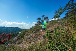 BIB: 
                            <button type="button" onclick="openModal(28097239)" class="btn btn-primary btn-sm float-right btn-popup" data-toggle="modal" data-target=".modal-high-quality">
                        <i class="fas fa-shopping-cart"></i> Add to Cart
                    </button>
                                            <button type="button" onclick="isThisMe(28097239, true)" class="btn btn-success btn-sm float-right btn-popup btn-isme hidden" data-toggle="tooltip" data-placement="bottom" title="นี่คือรูปของคุณใช่ไหม คลิกที่นี่เพื่อเอาเข้าอัลบั้ม">
                        <i class="fas fa-plus"></i> Add to album
                    </button>
                    <button type="button" onclick="isThisMe(28097239, false)" class="btn btn-warning btn-sm float-right btn-popup btn-isnotme hidden">
                        <i class="fas fa-ban"></i> Remove from album
                    </button>