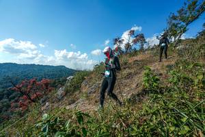 BIB: 
                            <button type="button" onclick="openModal(28097527)" class="btn btn-primary btn-sm float-right btn-popup" data-toggle="modal" data-target=".modal-high-quality">
                        <i class="fas fa-shopping-cart"></i> Add to Cart
                    </button>
                                            <button type="button" onclick="isThisMe(28097527, true)" class="btn btn-success btn-sm float-right btn-popup btn-isme hidden" data-toggle="tooltip" data-placement="bottom" title="นี่คือรูปของคุณใช่ไหม คลิกที่นี่เพื่อเอาเข้าอัลบั้ม">
                        <i class="fas fa-plus"></i> Add to album
                    </button>
                    <button type="button" onclick="isThisMe(28097527, false)" class="btn btn-warning btn-sm float-right btn-popup btn-isnotme hidden">
                        <i class="fas fa-ban"></i> Remove from album
                    </button>