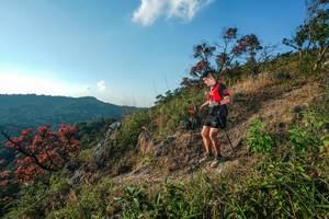 BIB: 
                            <button type="button" onclick="openModal(28099369)" class="btn btn-primary btn-sm float-right btn-popup" data-toggle="modal" data-target=".modal-high-quality">
                        <i class="fas fa-shopping-cart"></i> Add to Cart
                    </button>
                                            <button type="button" onclick="isThisMe(28099369, true)" class="btn btn-success btn-sm float-right btn-popup btn-isme hidden" data-toggle="tooltip" data-placement="bottom" title="นี่คือรูปของคุณใช่ไหม คลิกที่นี่เพื่อเอาเข้าอัลบั้ม">
                        <i class="fas fa-plus"></i> Add to album
                    </button>
                    <button type="button" onclick="isThisMe(28099369, false)" class="btn btn-warning btn-sm float-right btn-popup btn-isnotme hidden">
                        <i class="fas fa-ban"></i> Remove from album
                    </button>