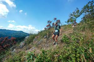 BIB: 
                            <button type="button" onclick="openModal(28096574)" class="btn btn-primary btn-sm float-right btn-popup" data-toggle="modal" data-target=".modal-high-quality">
                        <i class="fas fa-shopping-cart"></i> Add to Cart
                    </button>
                                            <button type="button" onclick="isThisMe(28096574, true)" class="btn btn-success btn-sm float-right btn-popup btn-isme hidden" data-toggle="tooltip" data-placement="bottom" title="นี่คือรูปของคุณใช่ไหม คลิกที่นี่เพื่อเอาเข้าอัลบั้ม">
                        <i class="fas fa-plus"></i> Add to album
                    </button>
                    <button type="button" onclick="isThisMe(28096574, false)" class="btn btn-warning btn-sm float-right btn-popup btn-isnotme hidden">
                        <i class="fas fa-ban"></i> Remove from album
                    </button>